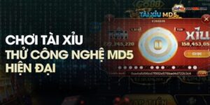 Sơ lược về tài xỉu md5